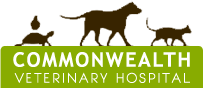 Commonwealth Veterinary Hospital